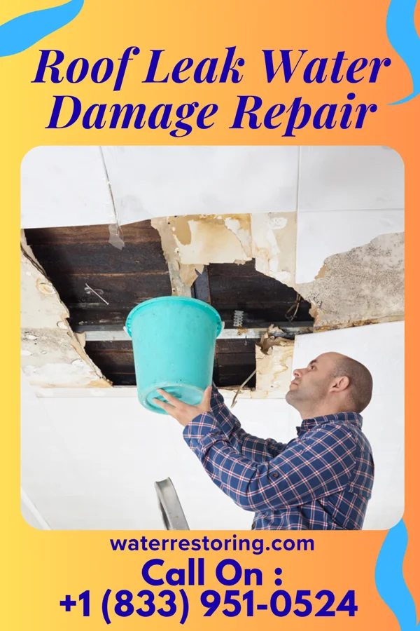 Roof Leak Water Damage Repair in Springhill, MT